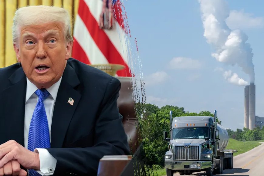 Trump’s Energy Department forbids staff from saying ‘climate change’ or ‘green’