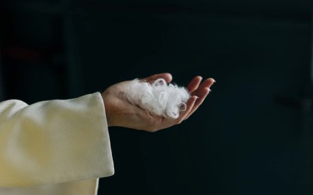 Everbloom Built an AI to Turn Chicken Feathers into Cashmere