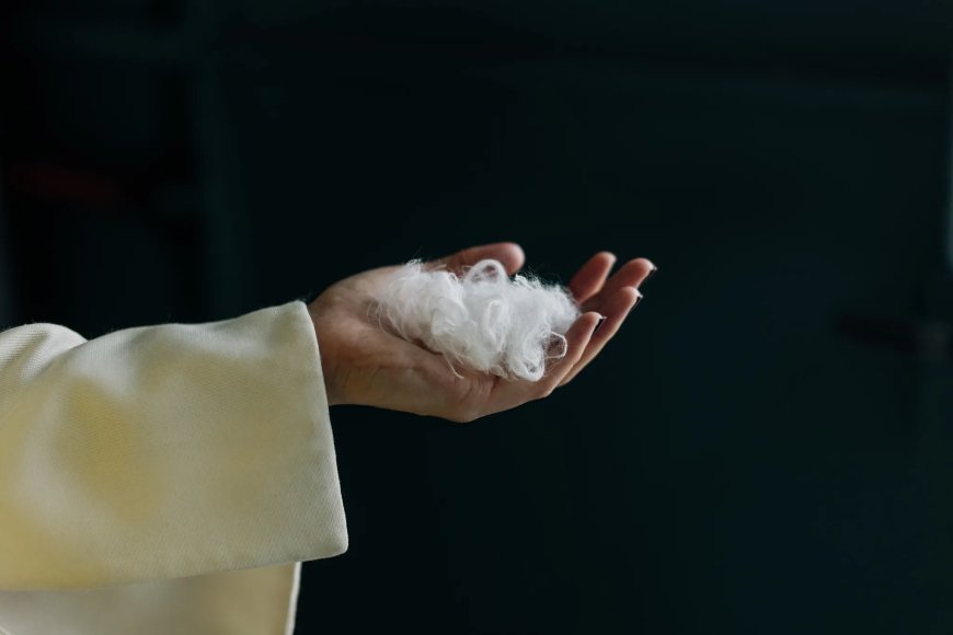 Everbloom Built an AI to Turn Chicken Feathers into Cashmere