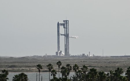 Elon Musk’s SpaceX, Tesla, and xAI in talks to merge, according to reports