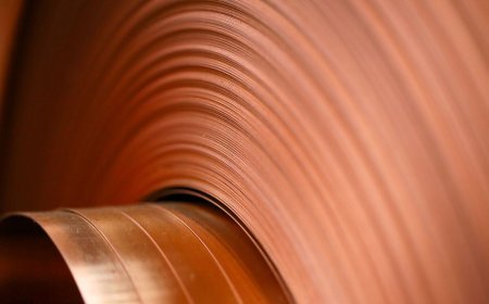 How one startup is using prebiotics to try and ease the copper shortage