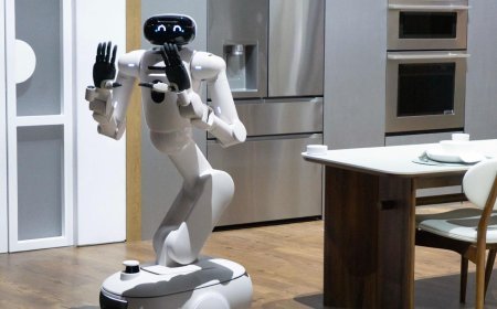 Are Humanoid Robots Really the Next Smart Home Gadget?