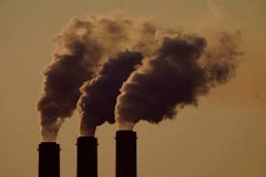 Trump Administration’s EPA Plans to Exclude Health Impacts From Air Pollution Rules
