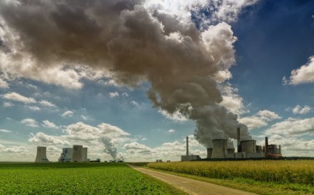 Google- and Microsoft-backed Terradot acquires carbon-removal competitor