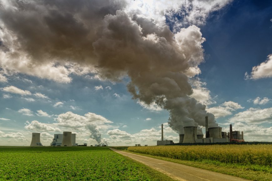 Google- and Microsoft-backed Terradot acquires carbon-removal competitor