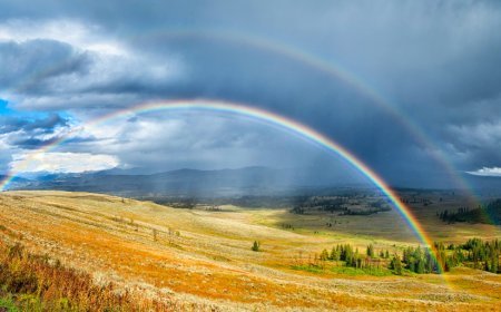 Former Apple team debuts Acme Weather with a fresh approach to forecasting