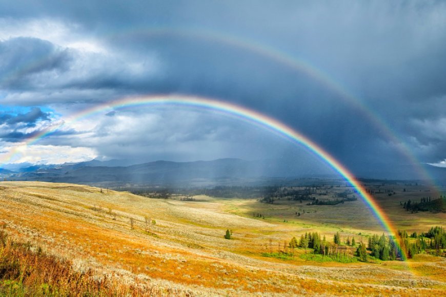 Former Apple team debuts Acme Weather with a fresh approach to forecasting