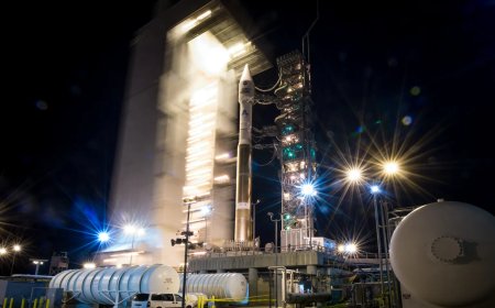 Image Credits: NASA Goddard Space Flight Center/Bill Ingalls(opens in a new window) / Flickr(opens in a new window) under a CC BY 2.0(opens in a new window) license