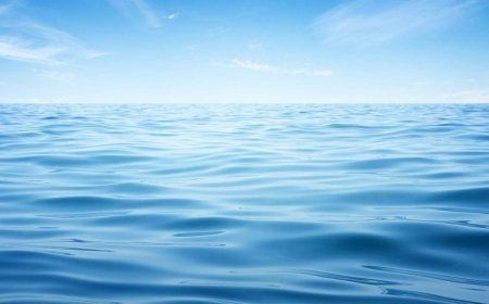 Apeiron Labs Gets $9.5M to Flood the Oceans With Autonomous Underwater Robots