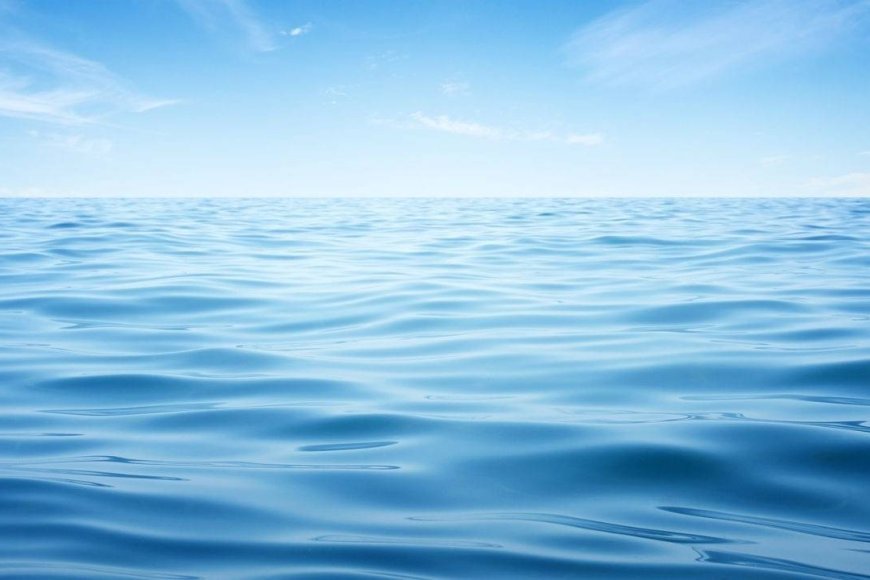 Apeiron Labs Gets $9.5M to Flood the Oceans With Autonomous Underwater Robots