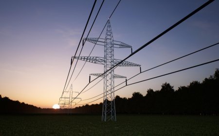 Samsung backs island-based startup aiming to stabilise power grids with software and batteries