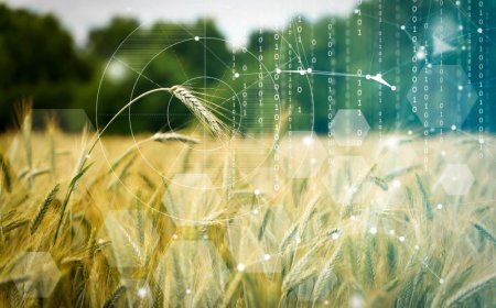Kentucky woman declines $26M bid to convert family farm into data centre