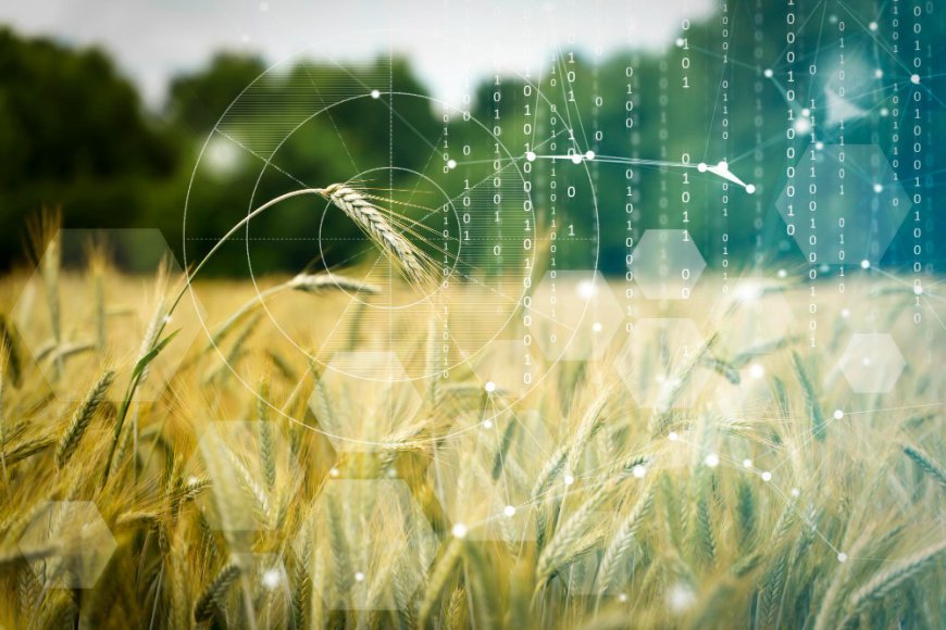 Kentucky woman declines $26M bid to convert family farm into data centre