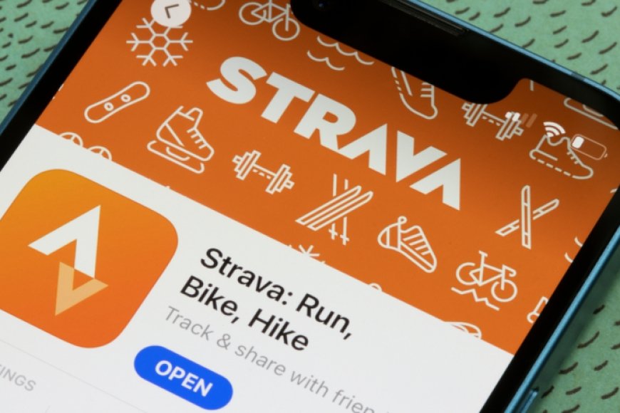 French Navy officer accidentally reveals aircraft carrier location via Strava run tracking