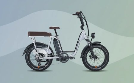 Life EV completes acquisition of Rad Power Bikes