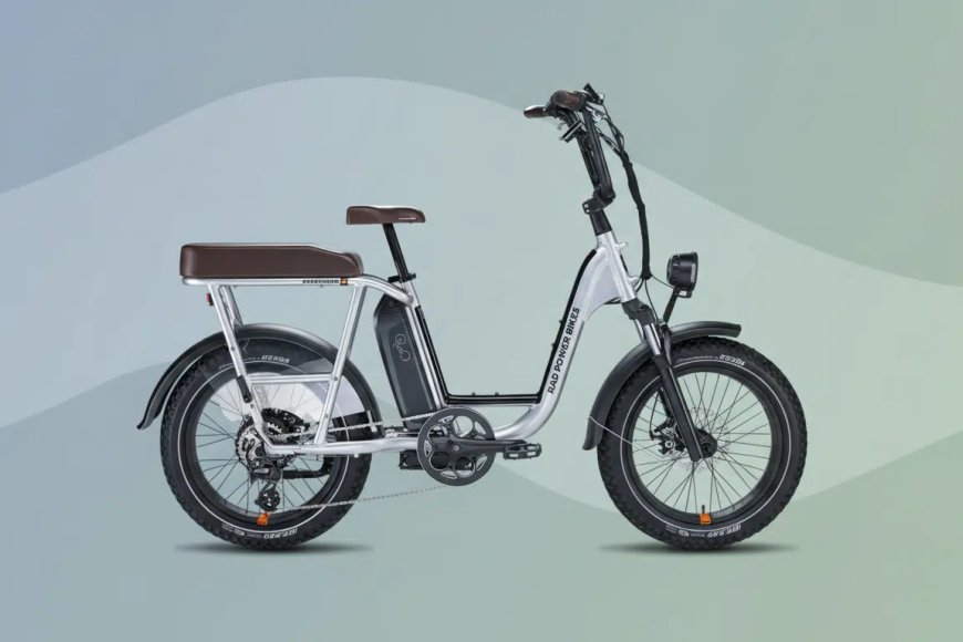 Life EV completes acquisition of Rad Power Bikes
