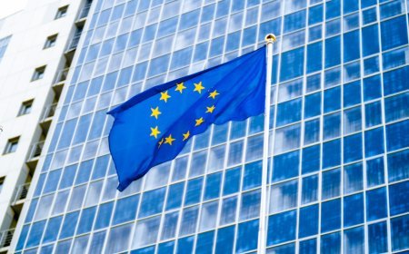 Europe’s cyber agency links major data breach and leak to hacking gangs