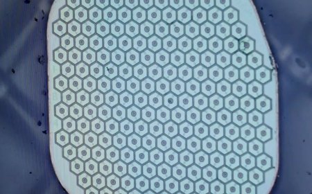 Science Corp., led by Max Hodak, prepares for its first human brain sensor implant