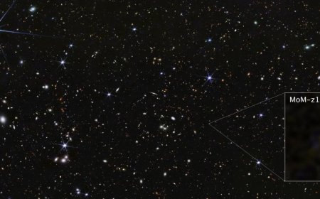 Image Credits: NASA/JWST
