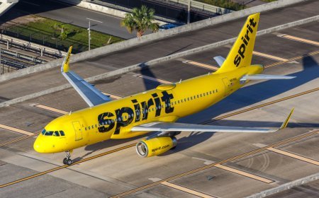 TikToker launches campaign to buy Spirit Airlines after sudden shutdown