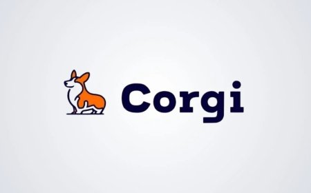 Corgi Secures $106 Million Funding Round, Reaches $2.6 Billion Valuation in Just Three Weeks.