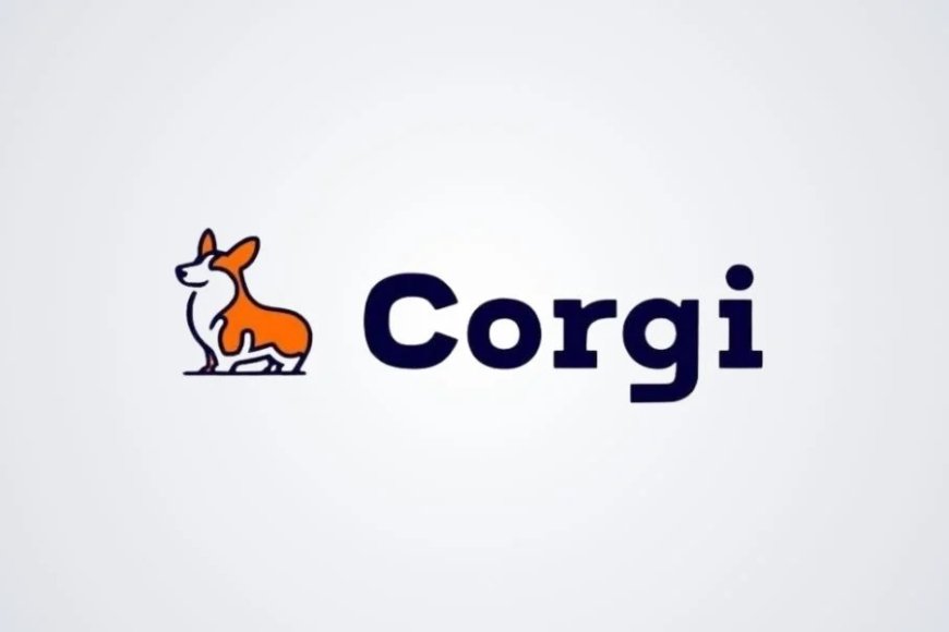 Corgi Secures $106 Million Funding Round, Reaches $2.6 Billion Valuation in Just Three Weeks.