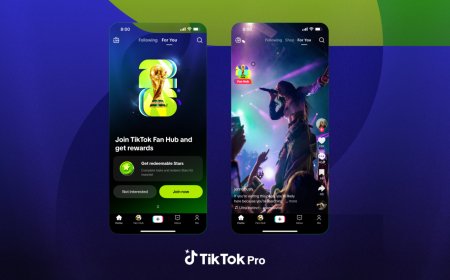 Image Credits: TikTok
