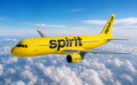 Flight Attendants Alarmed as Google Moves to Buy Huge Trove of Spirit Employee Data